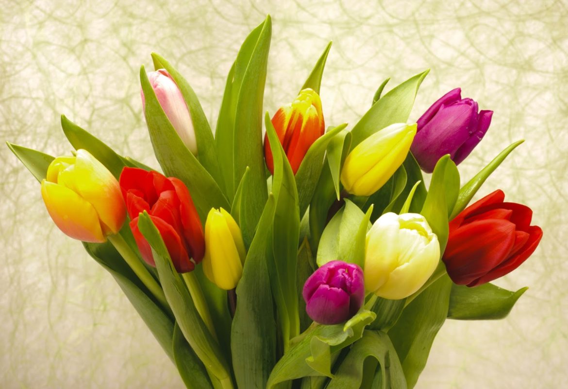 A List of Spring Flowers