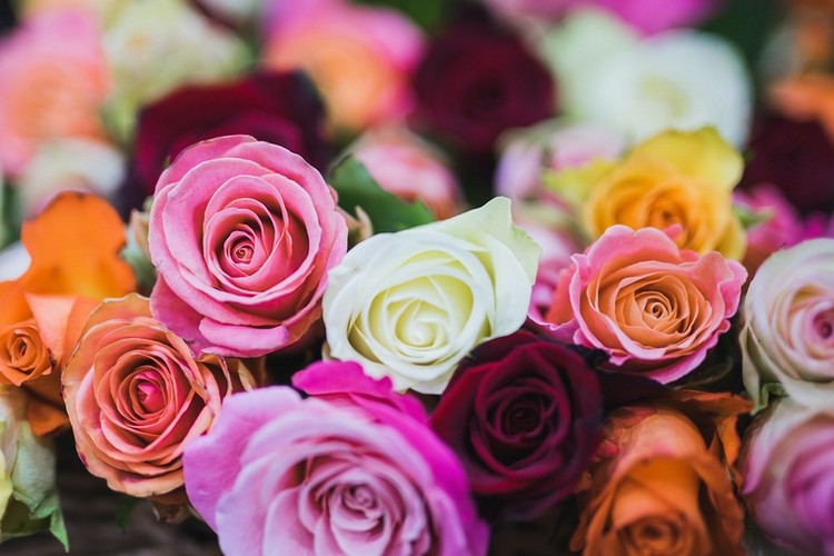 Mother's Day Flowers