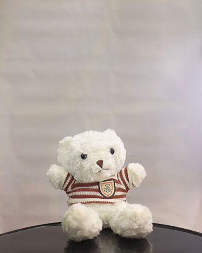 Small White Teddy Bear