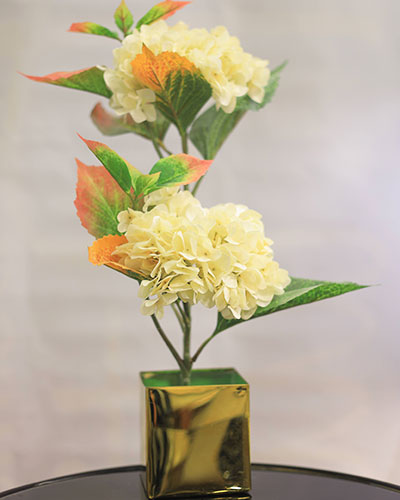 Lively Lemon Blossoms