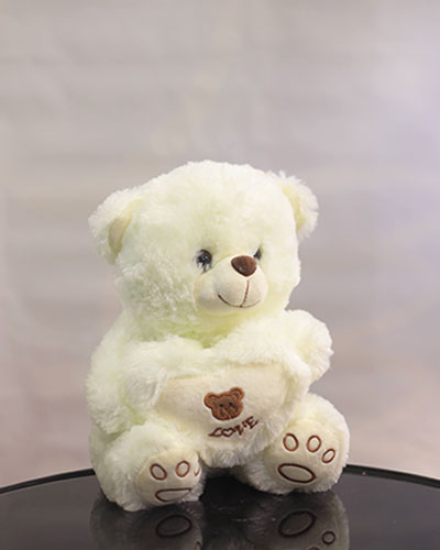 Cuddle Love Teddy Bear