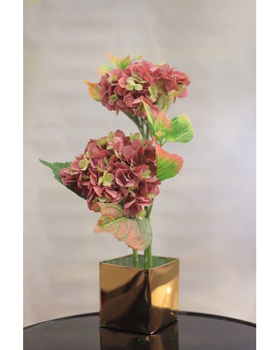 Autumn Hydrangea Grace