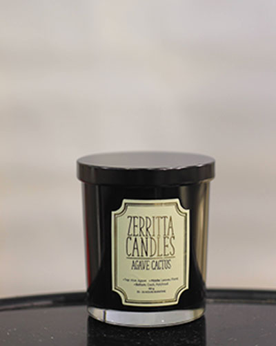 Small Zerritta Agave Cactus Candle