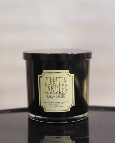 Large Zerritta Agave Cactus Candle