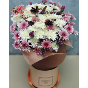 Pink Daisy Delight