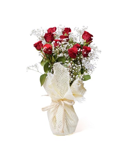 💐 Santo Domingo Hearts and Diamonds - Flower Delivery, 30 Red Carnations  and White Babys Breath