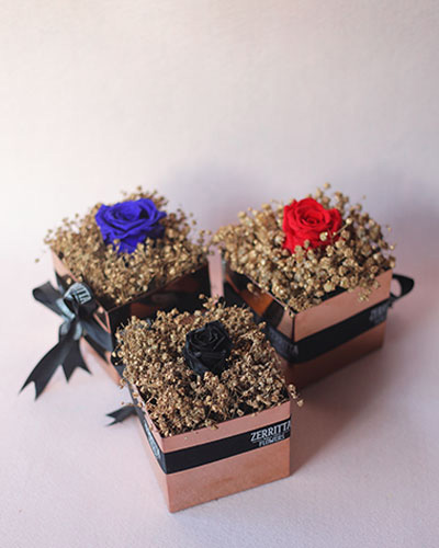 Forever Preserved Roses in a Box