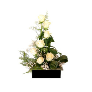 Elegant White Roses Pot