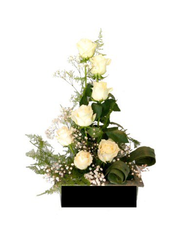 Elegant White Roses Pot