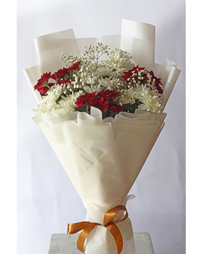 Classic Red Rose White Baby’s Breathe Bouquet