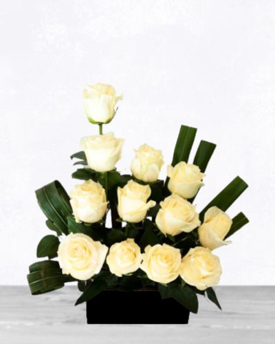 Beauty Of White